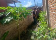 Bhabinkamtibmas Desa Lamusung Turun ke Lahan, Dukung Warga Kelola Pekarangan Jadi Sumber Pangan Bergizi
