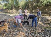 Bhabinkamtibmas Desa Sekongkang Atas Dampingi Petugas Poskeswan lakukan Vaksinasi Rabies