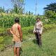Dukung Program Asta Cita Swasembada Pangan, Bhabinkamtibmas Desa Maluk Lakukan Monitoring Lahan Jagung Warga