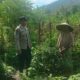 Polres Lombok Barat Dukung Ketahanan Pangan Lewat Pendampingan Petani
