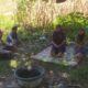 Bhabinkamtibmas Batu Putih Dukung Ketahanan Pangan Sekotong