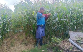 Polri Dukung Ketahanan Pangan di Desa Beleka Lombok Barat
