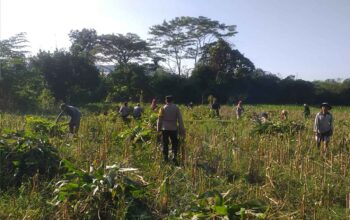 Bhabinkamtibmas Desa Jagaraga Aktif Dorong Ketahanan Pangan Lokal