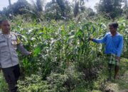 Bhabinkamtibmas Dorong Swasembada Pangan di Desa Montong Are