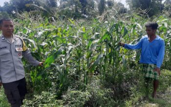 Polri Lombok Barat Gencarkan Ketahanan Pangan di Montong Are