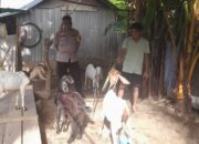 Bhabinkamtibmas Dukung Ketahanan Pangan Warga Senggigi