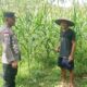 Polres Lombok Barat Dukung Ketahanan Pangan Lewat Pendampingan Warga