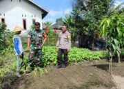 Polres Loteng Tinjau Lahan Pekarangan Pangan Bergizi Milik Warga di Kopang