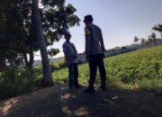 Ketahanan Pangan Desa Kuripan Sinergi Polri dan Warga