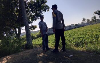 Ketahanan Pangan Desa Kuripan Sinergi Polri dan Warga