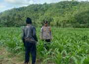 Kunjungan DDS: Ketahanan Pangan dan Kamtibmas Jadi Fokus Polisi Sekotong