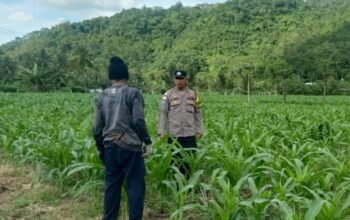 Kunjungan DDS: Ketahanan Pangan dan Kamtibmas Jadi Fokus Polisi Sekotong