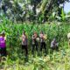 Panen Raya Jagung di Lombok Barat, Wujud Sinergi TNI-Polri dan Petani