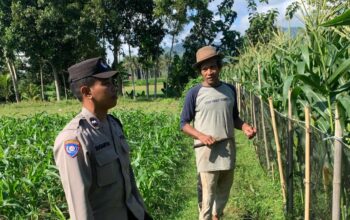 Polres Lombok Barat Dampingi Petani Wujudkan Ketahanan Pangan