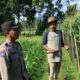 Polres Lombok Barat Dampingi Petani Wujudkan Ketahanan Pangan