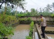 Pemuda Pesongoran Bergerak Wujudkan Kemandirian Pangan