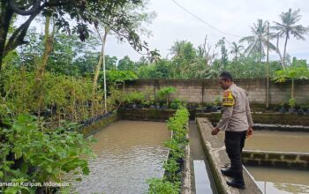 Pemuda Pesongoran Bergerak Wujudkan Kemandirian Pangan
