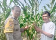 Pendampingan Petani oleh Bhabinkamtibmas di Desa Jagaraga Indah