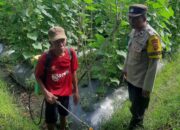 Peran Polri di Montong Are dalam Ketahanan Pangan Nasional