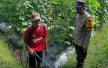 Peran Polri di Montong Are dalam Ketahanan Pangan Nasional