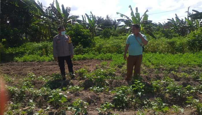 Polri Dorong Ketahanan Pangan Lewat Pendampingan Petani di Lombok Barat