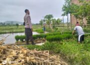 Polri Pantau Langsung Tanam Padi di Desa Lelede, Lombok Barat