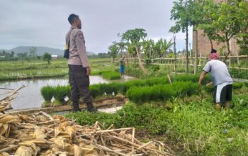 Polri Pantau Langsung Tanam Padi di Desa Lelede, Lombok Barat