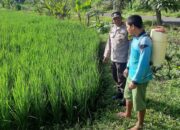 Polri Perkuat Swasembada Pangan di Desa Montong Are