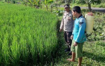Polri Perkuat Swasembada Pangan di Desa Montong Are