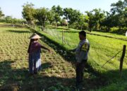 Polri di Lombok Barat Galakkan Ketahanan Pangan Skala Rumah Tangga