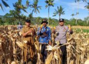 Polsek Gerung Aktif Dukung Rantai Pasok Pertanian