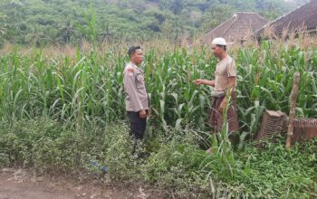 Polsek Lembar Dukung Ketahanan Pangan di Dusun Jelateng Sedenggang