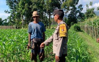Sinergi Polri dan Petani Gerung dalam Wujudkan Ketahanan Pangan