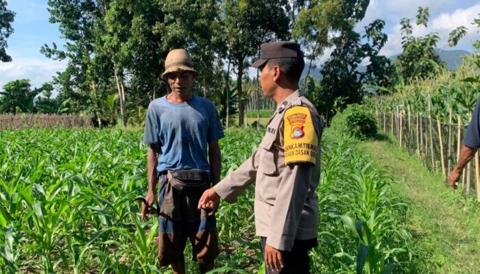 Bhabinkamtibmas Dasan Geres Dukung Ketahanan Pangan Lewat Kunjungan ke Petani