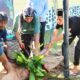 Polres Lombok Utara Rayakan Idul Adha Dengan Pemotongan Hewan Kurban