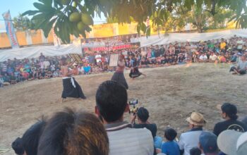 Warisan Sasak di Panggung Dunia, Festival Peresean Ramaikan Lombok Barat