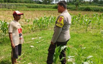 Polres Lombok Barat Dorong Ketahanan Pangan Desa Jembatan Gantung