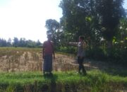 Bhabinkamtibmas Desa Jagaraga Dorong Kemandirian Pangan dari Pekarangan Warga