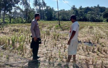 Polri dan Warga Kuripan Bangun Ketahanan Pangan dari Rumah