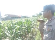 Bhabinkamtibmas Labuapi Ajak Warga Optimalkan Lahan Pekarangan untuk Ketahanan Pangan