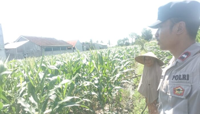Polsek Labuapi Dorong Ketahanan Pangan Warga Desa Labuapi