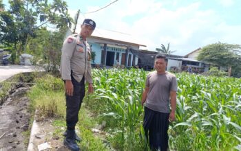 Bhabinkamtibmas Labuapi Dorong Pemanfaatan Lahan Kosong untuk Ketahanan Pangan