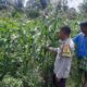 Bhabinkamtibmas Kediri Dukung Ketahanan Pangan Lewat Pendataan Petani Jagung