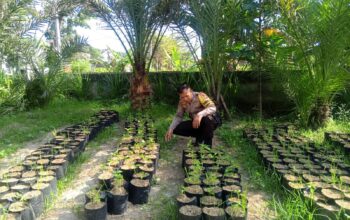 Bhabinkamtibmas Terong Tawah Dorong Ketahanan Pangan Lewat Pemanfaatan Pekarangan