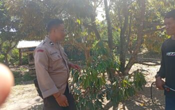 Ketahanan Pangan Desa Merembu Didorong Lewat Jalan Usaha Tani Baru