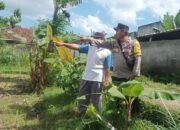 Ketahanan Pangan Dimulai dari Pekarangan, Inisiatif Bhabinkamtibmas di Dusun Dawung