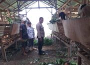 Kuripan Timur Dorong Kemandirian Pangan Lewat Pendampingan Warga