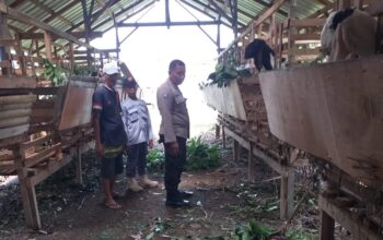 Kuripan Timur Dorong Kemandirian Pangan Lewat Pendampingan Warga