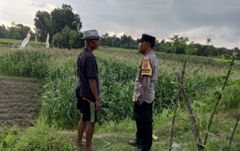 Polri Dorong Pemanfaatan Lahan Pekarangan di Kuripan Utara