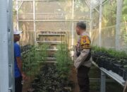Sinergi Polsek Batulayar dan Warga untuk Pangan Mandiri